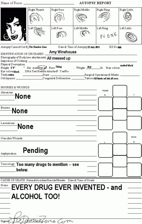 amy winehouse death certificate